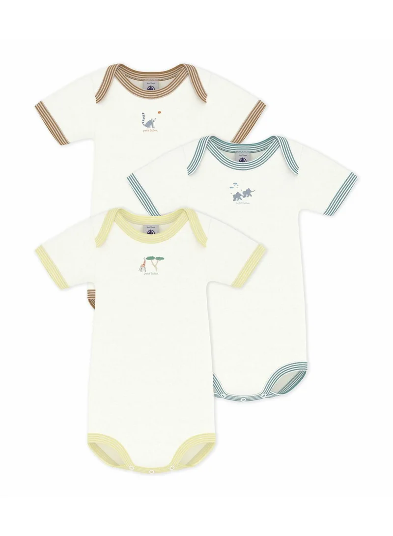بيتي باتو Pack of babies' short-sleeved plain cotton bodies